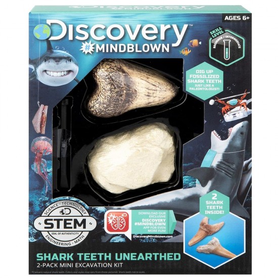 Dis - TOY EXCAVATION KIT MINI SHARK TOOT