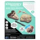 Dis - TOY EXCAVATION KIT MINI SHARK TOOT