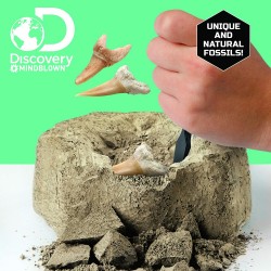 Dis - TOY EXCAVATION KIT MINI SHARK TOOT Dis - TOY EXCAVATION KIT MINI SHARK TOOT