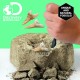Dis - TOY EXCAVATION KIT MINI SHARK TOOT