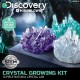 TOY KID'S CYRSTAL GROWING KIT 12PC