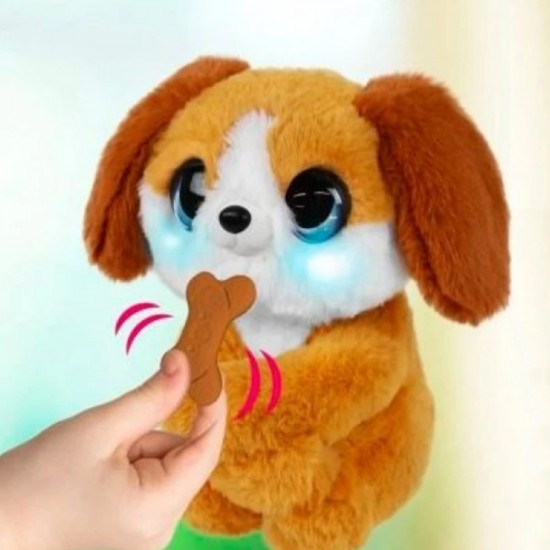 MFF Snuggling Puppy