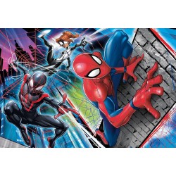 SPIDER-MAN SPIDER-MAN