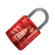 KIDZLABS/GIANT VISIBLE PADLOCK