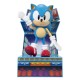 Sonic Fig Collector Edition Sonic Fig Collector Edition