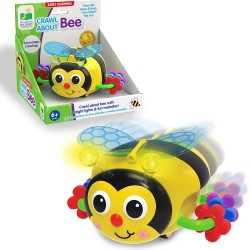 Crawl About Bee 