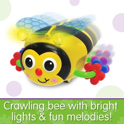 Crawl About Bee Crawl About Bee