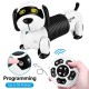 RC DOG - FOLLOW THE DACHSHUND RC DOG - FOLLOW THE DACHSHUND