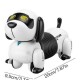 RC DOG - FOLLOW THE DACHSHUND RC DOG - FOLLOW THE DACHSHUND