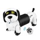 RC DOG - FOLLOW THE DACHSHUND RC DOG - FOLLOW THE DACHSHUND