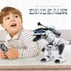 RC DINOSAUR - INTELLIGENT DINOSAUR